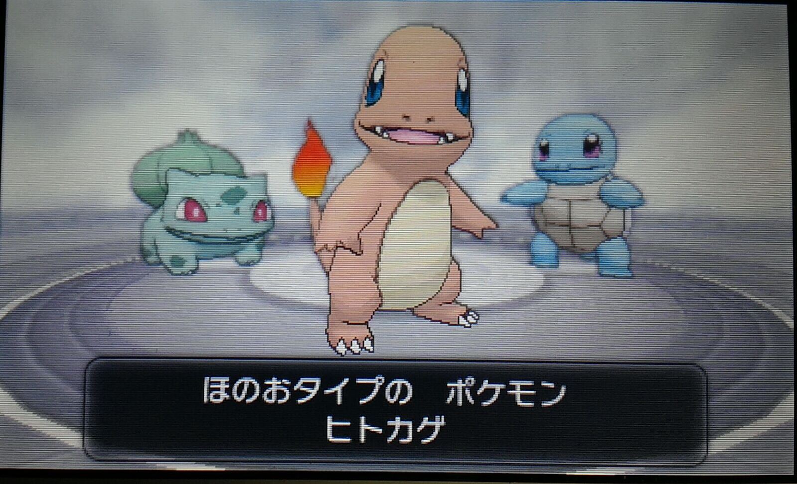 ポケモンxyプレイ日記